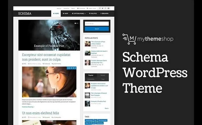 schema wordpress teması