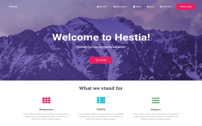 Hestia - WordPress teması